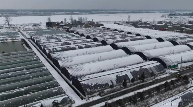 ��ѩ����������߲���Ȼ���