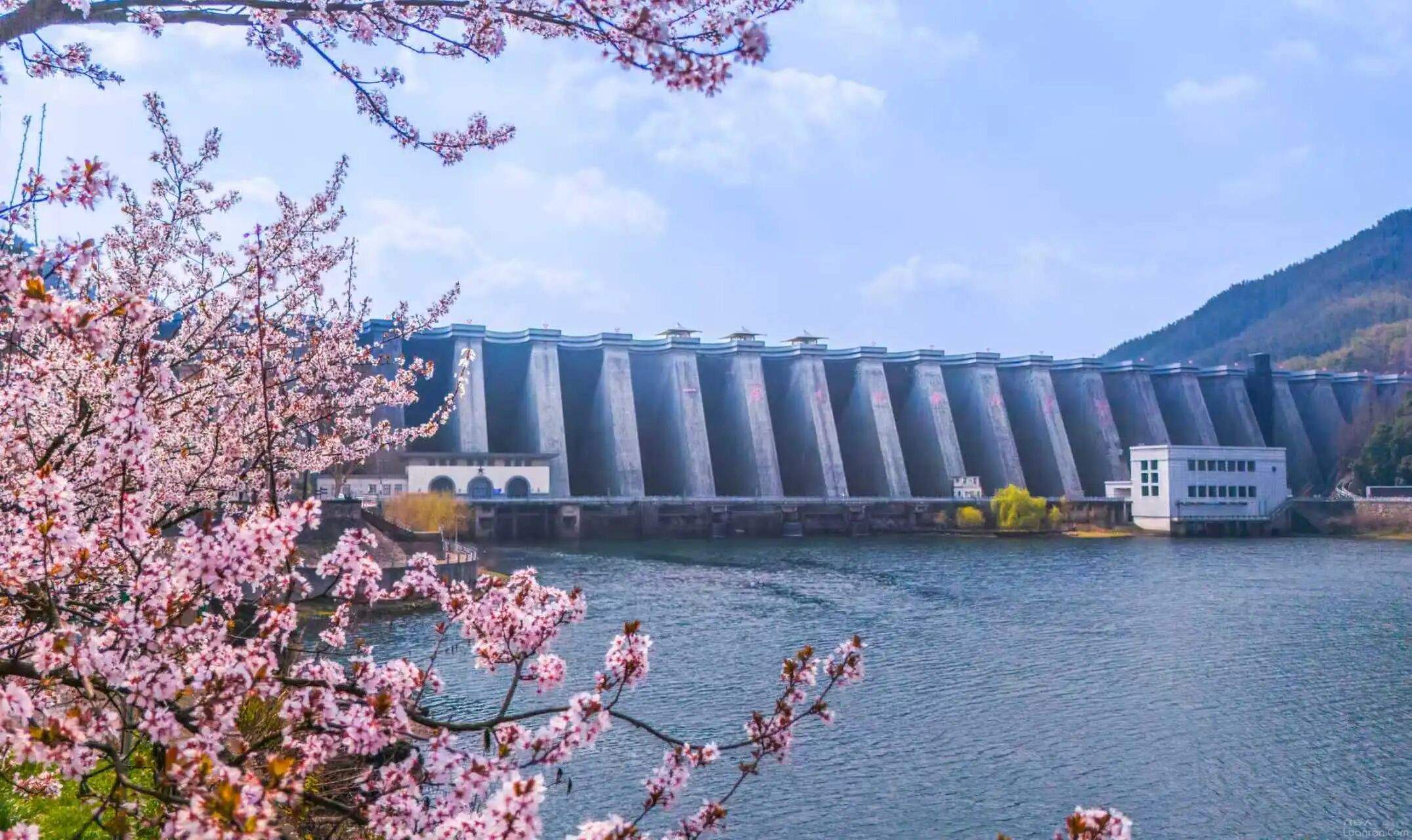 ���������������ߣ���������������ġ��ں��ۺ�������