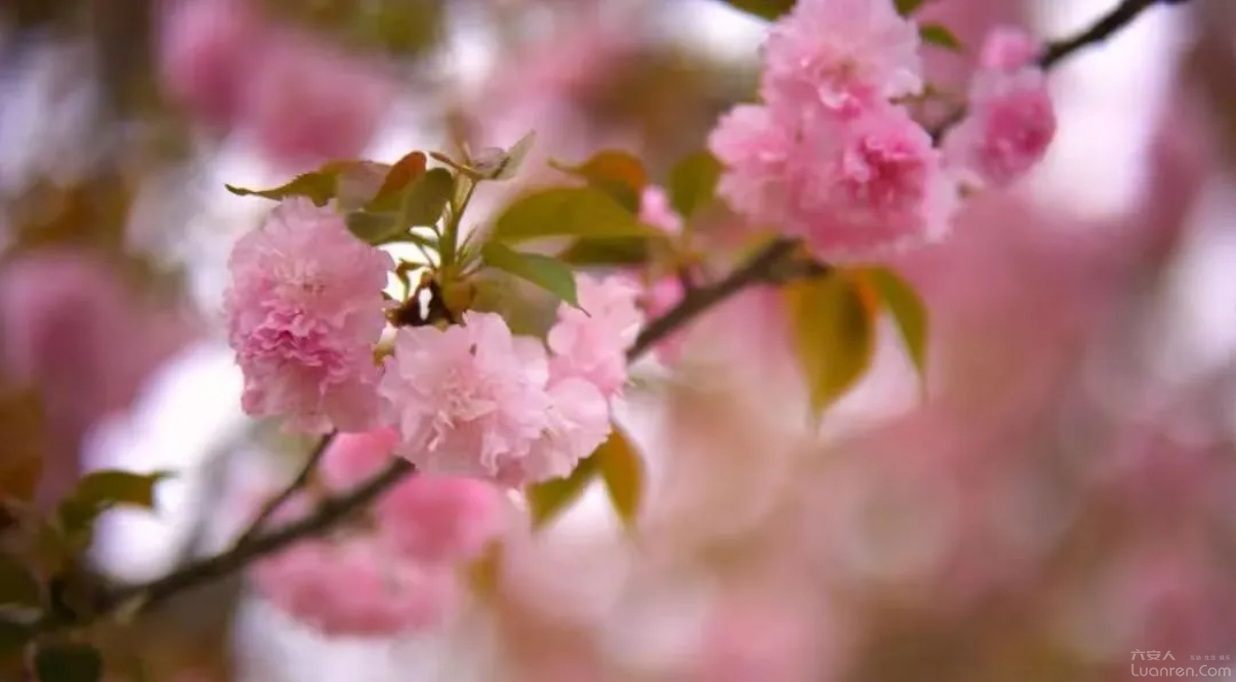 �ոգ����������ͻ���ͼ������