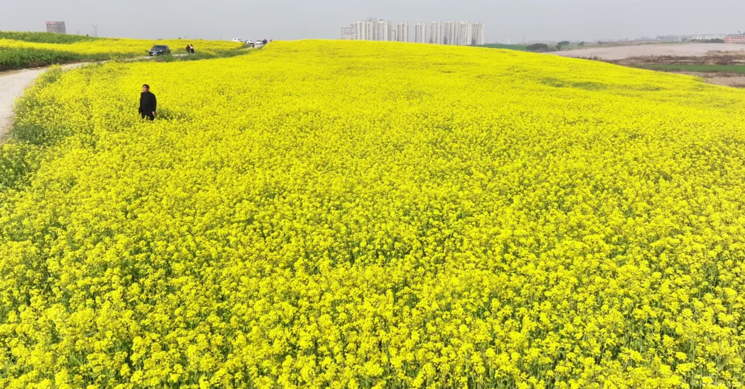 ��������800Ķ�Ͳ˻�����ˢ���ˣ�