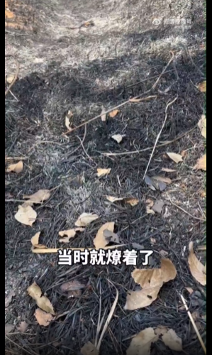 ��������ĵ��»��Ƿ����ˣ����Ӷ��˱��������