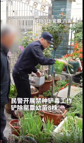 ����һ�����ڼ����������ȫ��������