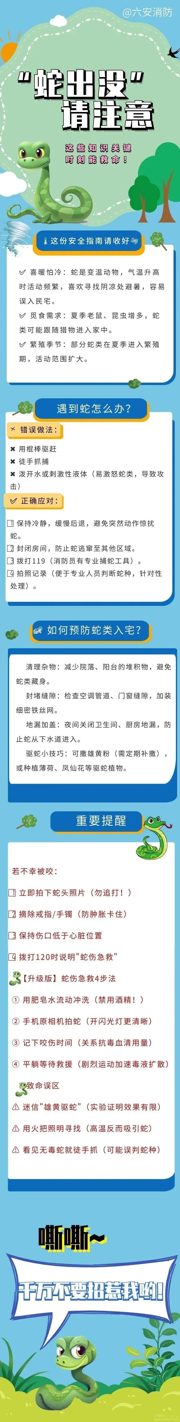 ͷƤ���飡�·�����һ���꣡